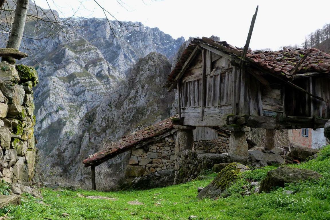 La Nana Del Mar / The Lullaby Of The Sea On Old Harbour Apartment Кудилеро Екстериор снимка